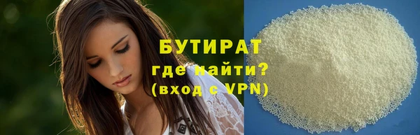 индика Алзамай