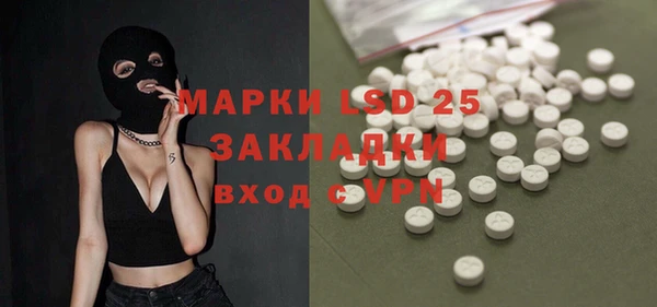 индика Алзамай