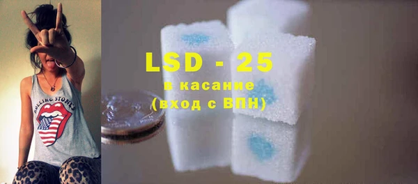 индика Алзамай
