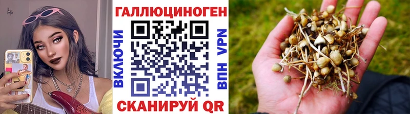 hydra ONION  Воткинск  Псилоцибиновые грибы Magic Shrooms 